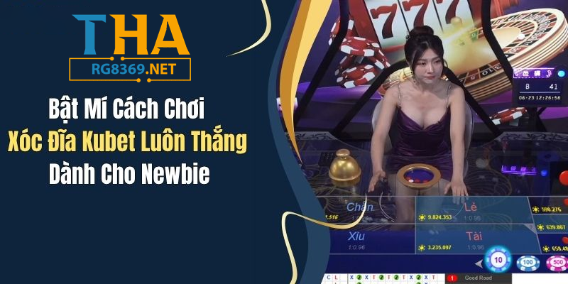 Bật Mí Cách Chơi Xóc Đĩa thabet Luôn Thắng Dành Cho Newbie