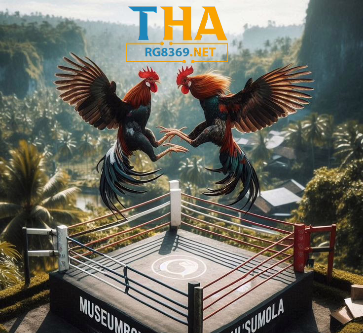 Giới thiệu sảnh đá gà GA28 - thabet đá gà