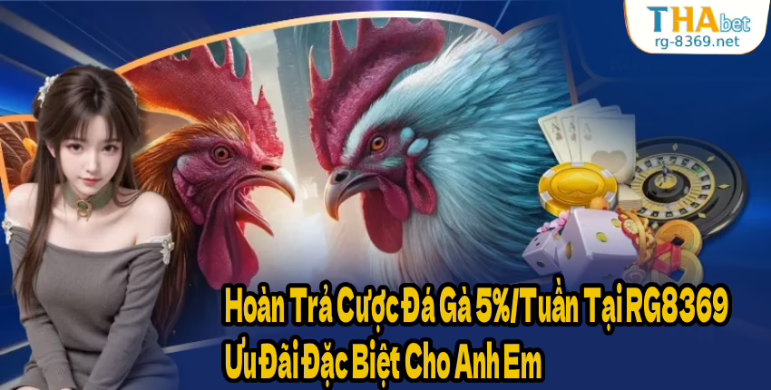 Hoàn Trả Cược Đá Gà 5%/Tuần Tại RG8369 – Ưu Đãi Đặc Biệt Cho Anh Em